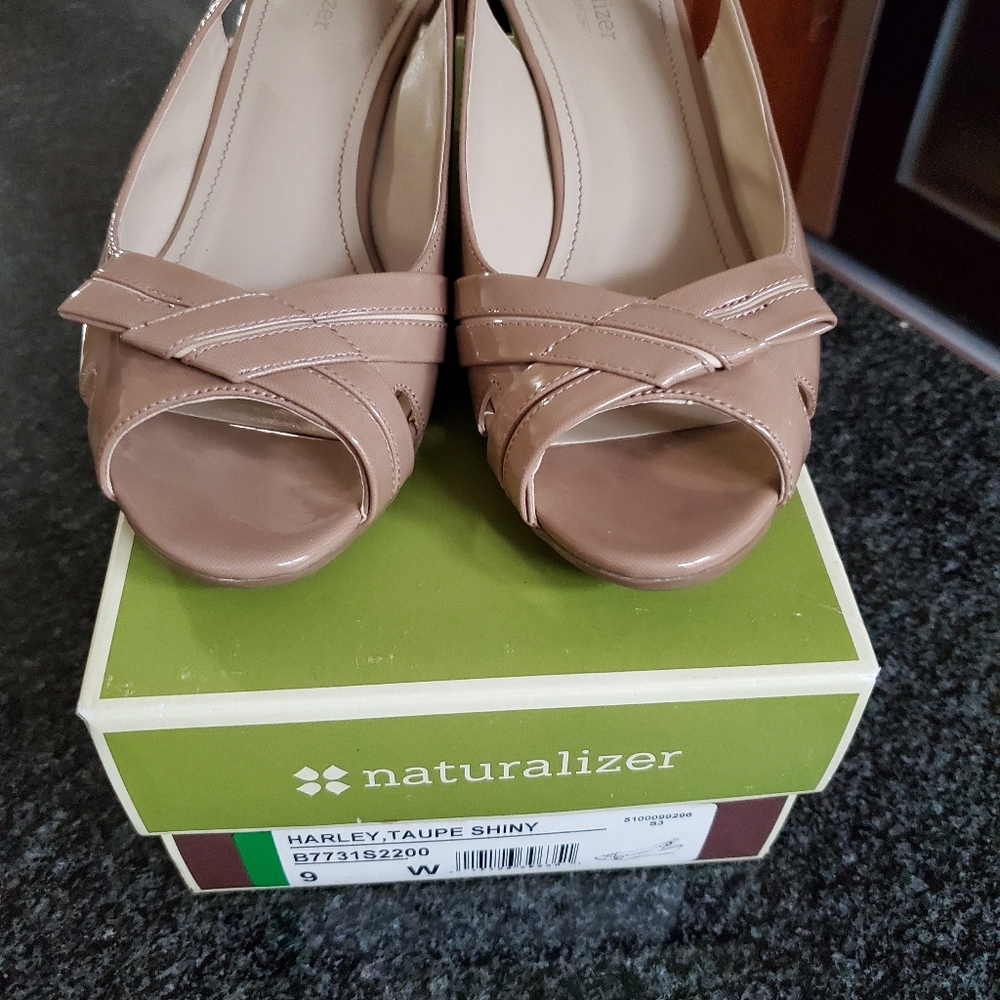 Taupe Shiny Shies